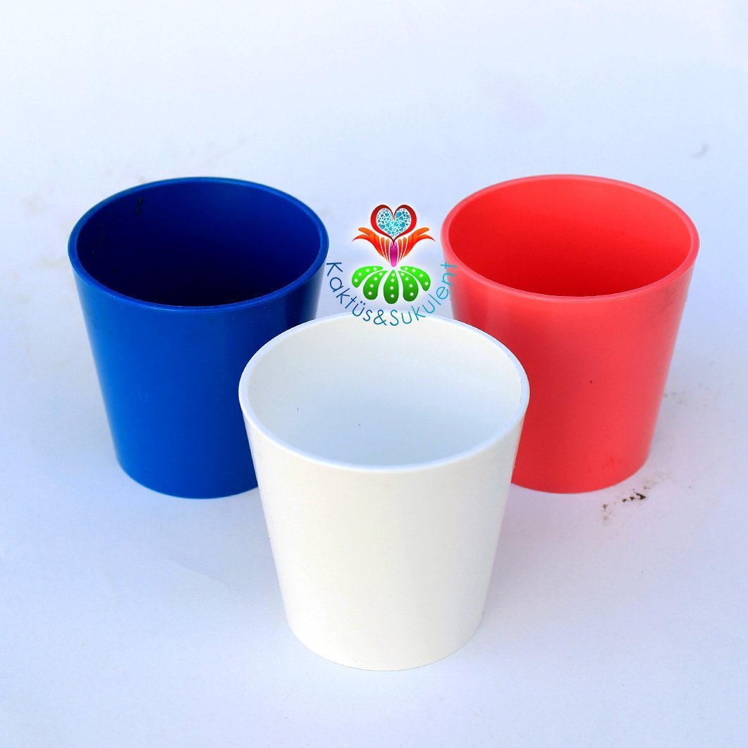 Sert Plastik Saksı - 5,5 cm Saksı Hazneli - 3 Farklı Renk Seçeneği- Uygun Fiyatlı