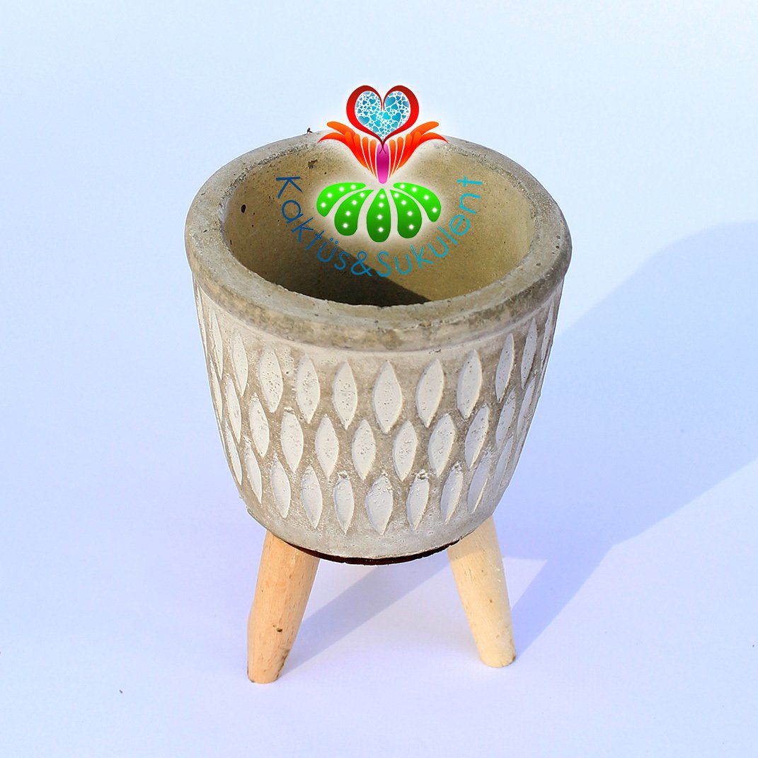 Ahşap Ayaklı Dekoratif Taş Saksı-10x7x7 cm Boyutlu-6cm Hazneli