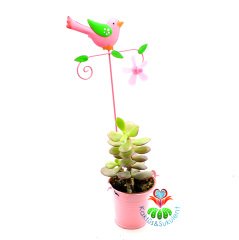 Kuş Aksesuarlı Pervaneli Dekoratif Metal Saksı- 5,5 cm Hazneli-Pembe Renk-Çok Şık