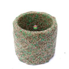 Prizma Dokulu Silindir Taş Saksı 5,5 cm Hazneli Dekoratif Saksı -8x8x6 cm Boyutlu-3 Farklı Renk Seçeneği Gri