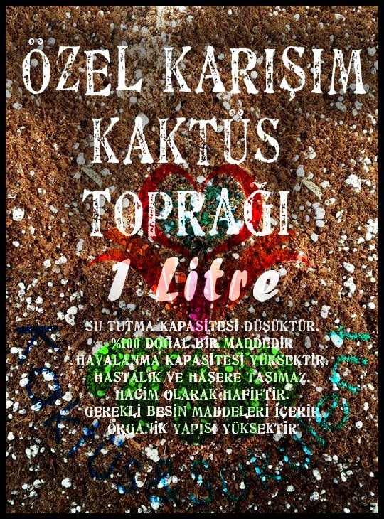 Özel Karışım Profesyonel Kaktüs ve Sukulent Toprağı, Toprak