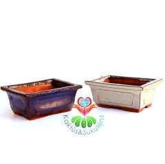 Seramik Bonsai Saksısı- Lacivert ve Beyaz Renk Seçeneği- 10x5x5 Boyutunda-Teraryum,Sukulent,