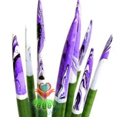Ebru Sanatlı Sukulent,Sansevieria Velvet Touchz Mor Renkli Paşa Kılıcı 25+cm Uzunluk-8,5 cm saksda