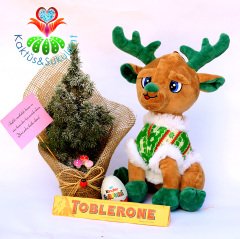 Hediye Seti- Süslenmiş Canlı Çam Ağacı(Picea Glauca)-Peluş Oyuncak ve Çikolata